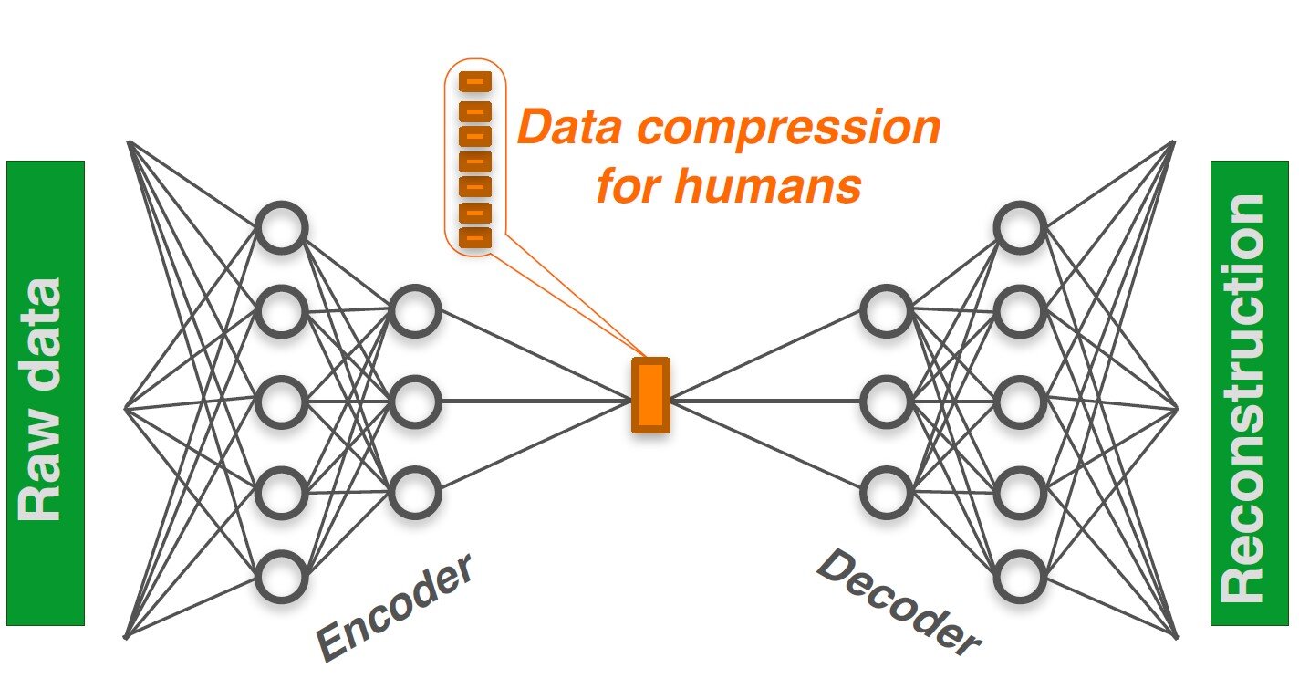 New software based on artificial intelligence helps to interpret complex data