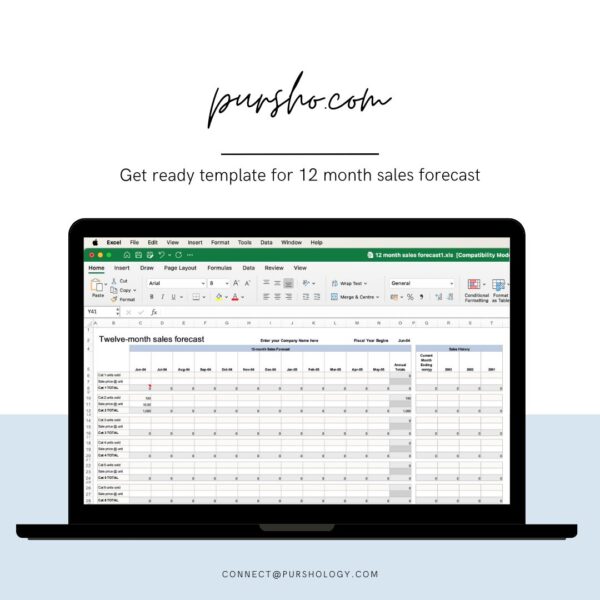 12 month sales forecast1 Excel Template