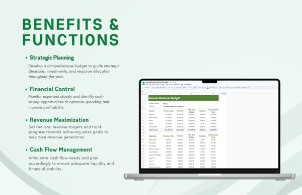 Annual Business budget template